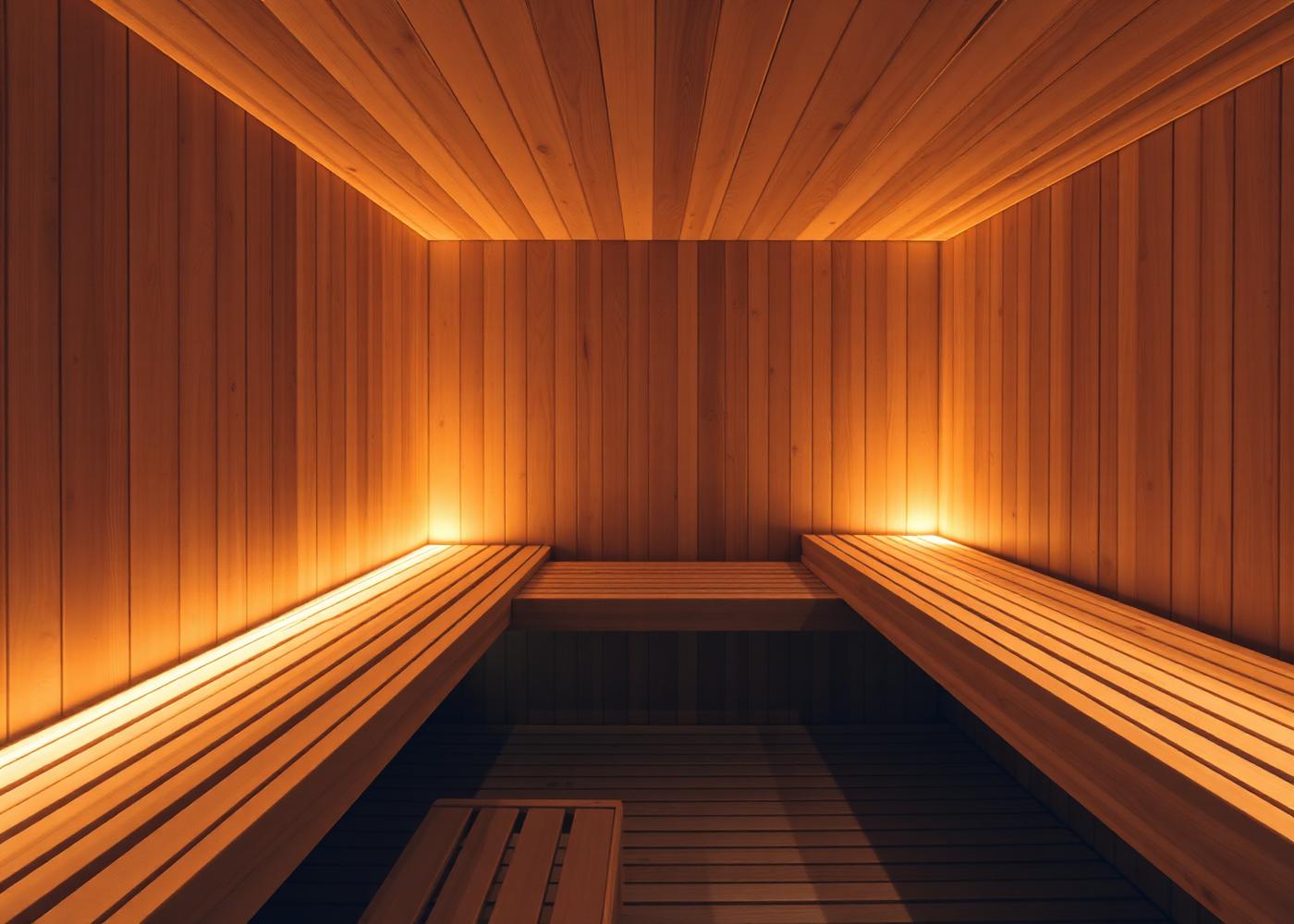 Sauna Seco